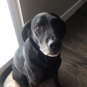 Meet your Posher, Kaylee